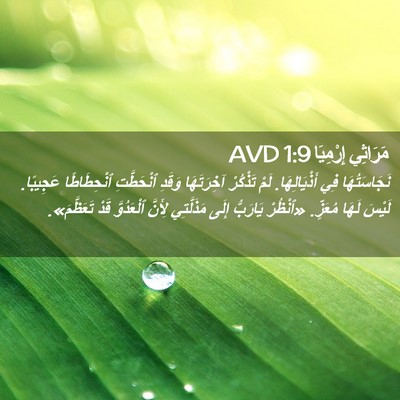 Picture 02 - مَرَاثِي إِرْمِيَا 1:9 AVD - نَجَاسَتُهَا فِي - Bible Verse Picture