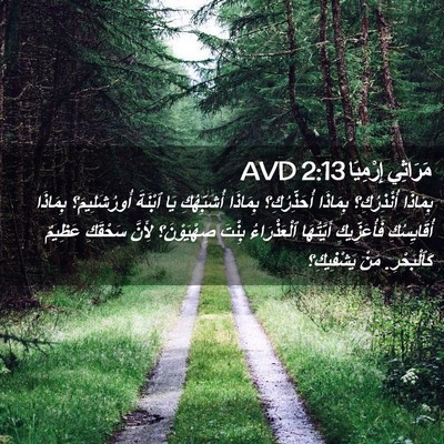 Picture 02 - مَرَاثِي إِرْمِيَا 2:13 AVD - بِمَاذَا أُنْذِرُكِ؟ - Bible Verse Picture