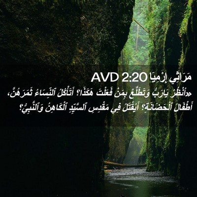 Picture 02 - مَرَاثِي إِرْمِيَا 2:20 AVD - «اُنْظُرْ يَارَبُّ - Bible Verse Picture