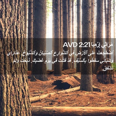Picture 02 - مَرَاثِي إِرْمِيَا 2:21 AVD - ٱضْطَجَعَتْ عَلَى - Bible Verse Picture