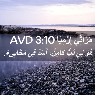 Picture 02 - مَرَاثِي إِرْمِيَا 3:10 AVD - هُوَ لِي دُبٌّ كَامِنٌ، - Bible Verse Picture