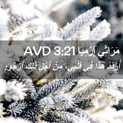Picture 02 - مَرَاثِي إِرْمِيَا 3:21 AVD - أُرَدِّدُ هَذَا فِي - Bible Verse Picture