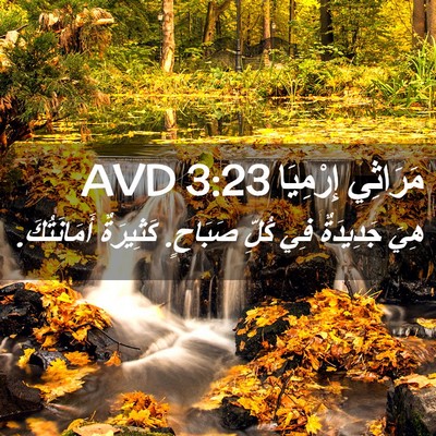 Picture 02 - مَرَاثِي إِرْمِيَا 3:23 AVD - هِيَ جَدِيدَةٌ فِي كُلِّ - Bible Verse Picture