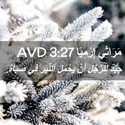 Picture 02 - مَرَاثِي إِرْمِيَا 3:27 AVD - جَيِّدٌ لِلرَّجُلِ أَنْ - Bible Verse Picture