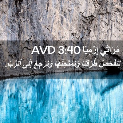Picture 02 - مَرَاثِي إِرْمِيَا 3:40 AVD - لِنَفْحَصْ طُرُقَنَا - Bible Verse Picture