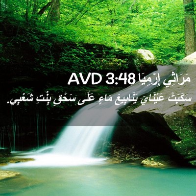 Picture 02 - مَرَاثِي إِرْمِيَا 3:48 AVD - سَكَبَتْ عَيْنَايَ - Bible Verse Picture