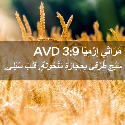 Picture 02 - مَرَاثِي إِرْمِيَا 3:9 AVD - سَيَّجَ طُرُقِي - Bible Verse Picture