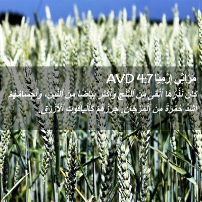 Picture 02 - مَرَاثِي إِرْمِيَا 4:7 AVD - كَانَ نُذُرُهَا أَنْقَى - Bible Verse Picture