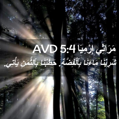 Picture 02 - مَرَاثِي إِرْمِيَا 5:4 AVD - شَرِبْنَا مَاءَنَا - Bible Verse Picture