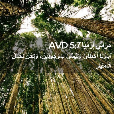 Picture 02 - مَرَاثِي إِرْمِيَا 5:7 AVD - آبَاؤُنَا أَخْطَأُوا - Bible Verse Picture