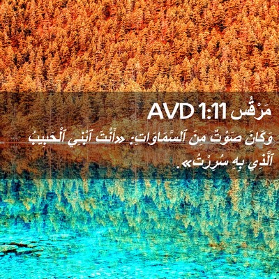 Picture 02 - مَرْقُس 1:11 AVD - وَكَانَ صَوْتٌ مِنَ - Bible Verse Picture