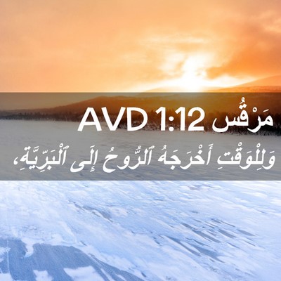 Picture 02 - مَرْقُس 1:12 AVD - وَلِلْوَقْتِ أَخْرَجَهُ - Bible Verse Picture