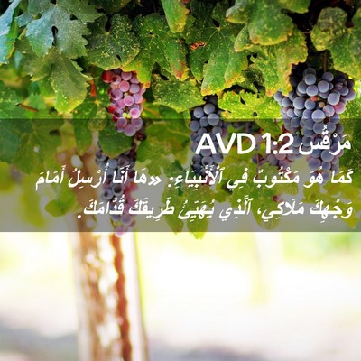 Picture 02 - مَرْقُس 1:2 AVD - كَمَا هُوَ مَكْتُوبٌ فِي - Bible Verse Picture