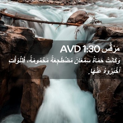 Picture 02 - مَرْقُس 1:30 AVD - وَكَانَتْ حَمَاةُ - Bible Verse Picture