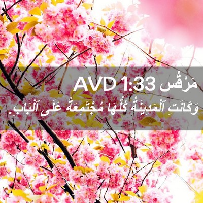 Picture 02 - مَرْقُس 1:33 AVD - وَكَانَتِ ٱلْمَدِينَةُ - Bible Verse Picture