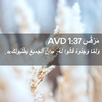 Picture 02 - مَرْقُس 1:37 AVD - وَلَمَّا وَجَدُوهُ - Bible Verse Picture