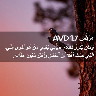 Picture 02 - مَرْقُس 1:7 AVD - وَكَانَ يَكْرِزُ قَائِلًا: - Bible Verse Picture