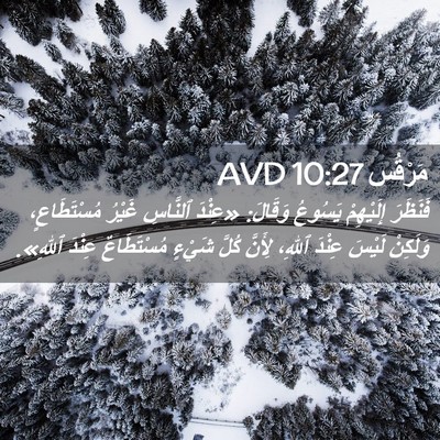 Picture 02 - مَرْقُس 10:27 AVD - فَنَظَرَ إِلَيْهِمْ - Bible Verse Picture
