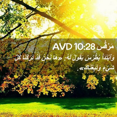 Picture 02 - مَرْقُس 10:28 AVD - وَٱبْتَدَأَ بُطْرُسُ - Bible Verse Picture