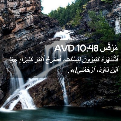 Picture 02 - مَرْقُس 10:48 AVD - فَٱنْتَهَرَهُ كَثِيرُونَ - Bible Verse Picture