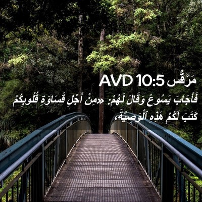 Picture 02 - مَرْقُس 10:5 AVD - فَأَجَابَ يَسُوعُ وَقَالَ - Bible Verse Picture