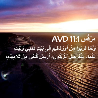 Picture 02 - مَرْقُس 11:1 AVD - وَلَمَّا قَرُبُوا مِنْ - Bible Verse Picture