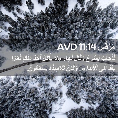 Picture 02 - مَرْقُس 11:14 AVD - فَأَجَابَ يَسُوعُ وَقَالَ - Bible Verse Picture