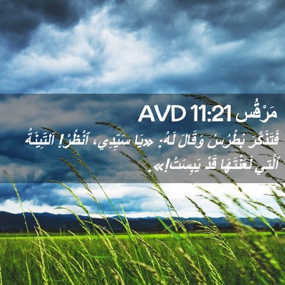 Picture 02 - مَرْقُس 11:21 AVD - فَتَذَكَّرَ بُطْرُسُ - Bible Verse Picture
