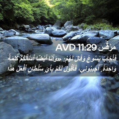 Picture 02 - مَرْقُس 11:29 AVD - فَأَجَابَ يَسُوعُ وَقَالَ - Bible Verse Picture