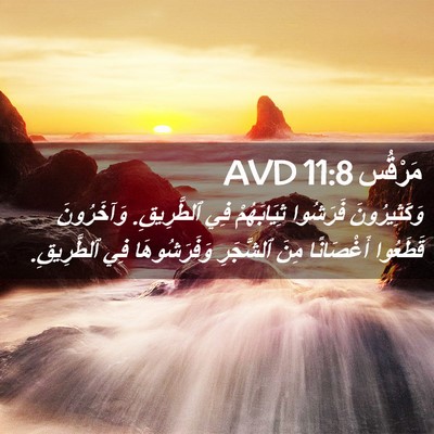 Picture 02 - مَرْقُس 11:8 AVD - وَكَثِيرُونَ فَرَشُوا - Bible Verse Picture