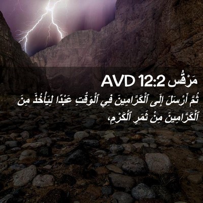 Picture 02 - مَرْقُس 12:2 AVD - ثُمَّ أَرْسَلَ إِلَى - Bible Verse Picture
