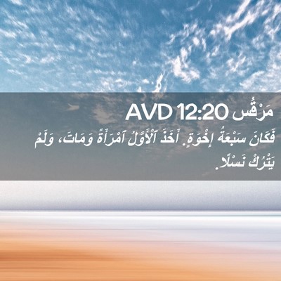Picture 02 - مَرْقُس 12:20 AVD - فَكَانَ سَبْعَةُ إِخْوَةٍ. - Bible Verse Picture