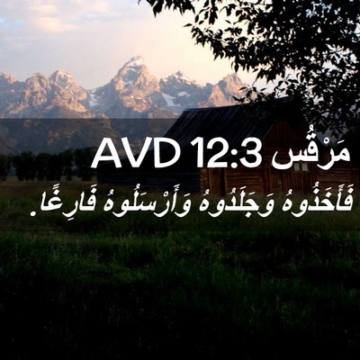 Picture 02 - مَرْقُس 12:3 AVD - فَأَخَذُوهُ وَجَلَدُوهُ - Bible Verse Picture