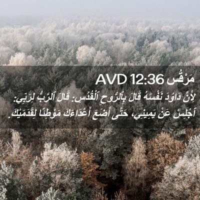 Picture 02 - مَرْقُس 12:36 AVD - لِأَنَّ دَاوُدَ نَفْسَهُ - Bible Verse Picture