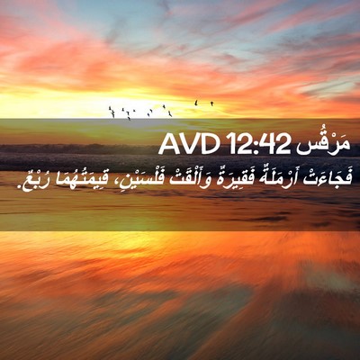 Picture 02 - مَرْقُس 12:42 AVD - فَجَاءَتْ أَرْمَلَةٌ - Bible Verse Picture