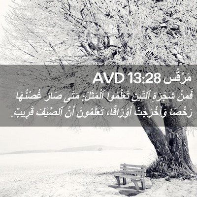 Picture 02 - مَرْقُس 13:28 AVD - فَمِنْ شَجَرَةِ ٱلتِّينِ - Bible Verse Picture