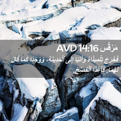 Picture 02 - مَرْقُس 14:16 AVD - فَخَرَجَ تِلْمِيذَاهُ - Bible Verse Picture
