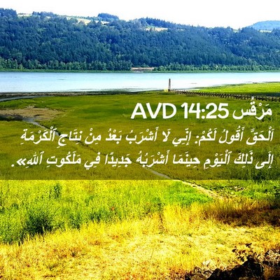 Picture 02 - مَرْقُس 14:25 AVD - اَلْحَقَّ أَقُولُ لَكُمْ: - Bible Verse Picture