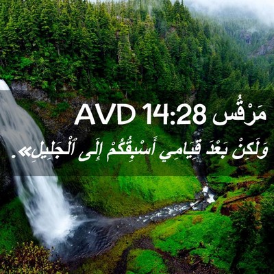 Picture 02 - مَرْقُس 14:28 AVD - وَلَكِنْ بَعْدَ قِيَامِي - Bible Verse Picture