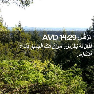 Picture 02 - مَرْقُس 14:29 AVD - فَقَالَ لَهُ بُطْرُسُ: - Bible Verse Picture