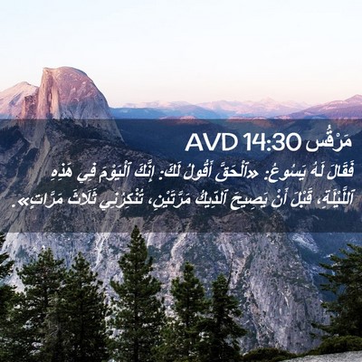 Picture 02 - مَرْقُس 14:30 AVD - فَقَالَ لَهُ يَسُوعُ: - Bible Verse Picture