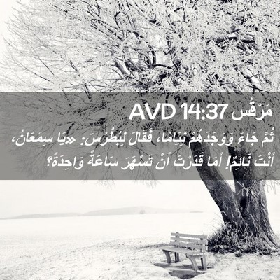 Picture 02 - مَرْقُس 14:37 AVD - ثُمَّ جَاءَ وَوَجَدَهُمْ - Bible Verse Picture