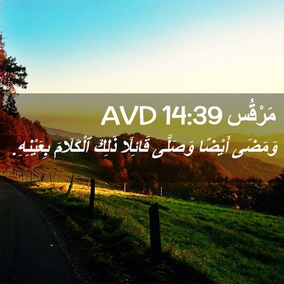 Picture 02 - مَرْقُس 14:39 AVD - وَمَضَى أَيْضًا وَصَلَّى - Bible Verse Picture