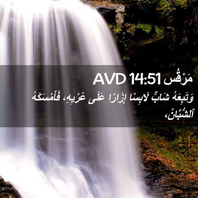 Picture 02 - مَرْقُس 14:51 AVD - وَتَبِعَهُ شَابٌّ - Bible Verse Picture