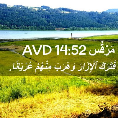 Picture 02 - مَرْقُس 14:52 AVD - فَتَرَكَ ٱلْإِزَارَ - Bible Verse Picture