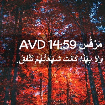 Picture 02 - مَرْقُس 14:59 AVD - وَلَا بِهَذَا كَانَتْ - Bible Verse Picture