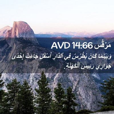 Picture 02 - مَرْقُس 14:66 AVD - وَبَيْنَمَا كَانَ - Bible Verse Picture