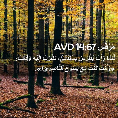 Picture 02 - مَرْقُس 14:67 AVD - فَلَمَّا رَأَتْ بُطْرُسَ - Bible Verse Picture