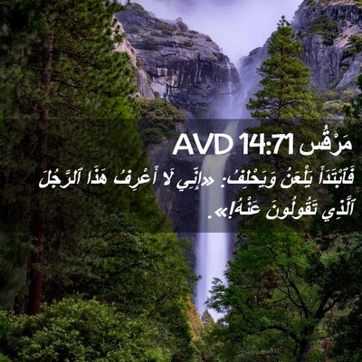 Picture 02 - مَرْقُس 14:71 AVD - فَٱبْتَدَأَ يَلْعَنُ - Bible Verse Picture