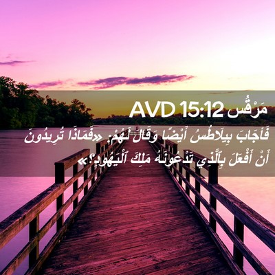Picture 02 - مَرْقُس 15:12 AVD - فَأجَابَ بِيلَاطُسُ - Bible Verse Picture